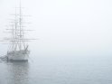 Schiff (STF Vandrarhem af Chapman) im Nebel