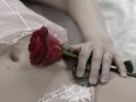 Rote Rose auf dem Bauch einer Frau in weißen Dessous