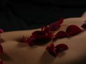 Rosenblätter auf einem Bauch