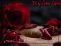 Ich liebe dich 
Erotische Karte mit roten Rosenblättern rund um einen Bauchnabel.