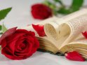 Die Seiten eines Buchs formen ein Herz, daneben liegt eine rote Rose. Abgerundet wird die Szene mit verstreuten Rosenblättern.