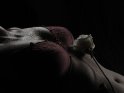 weiblicher Oberkrper mit rotem BH und einer weien Rose