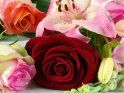 Blumenstrauss mit Rosen und einer Lilie
