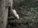 An eine Steinmauer gelehnte sitzende Frau im Wald