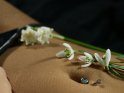 Frühlingshaftes Foto mit Schneeglöckchen und Frühlingsknotenblumen auf dem Bauch.