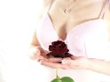 Highkeyfoto einer Frau in weißen Dessous mit einer roten Rose