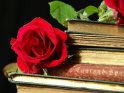 Eine auf zahlreichen alten Büchern liegende rote Rose vor schwarzem Hintergrund