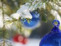 Blaue und rote Glaskugeln an einem verschneiten Tannenzweig sind das Motiv dieses Weihnachtsbildes.