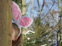 Frau mit Hasenohren versteckt sich hinter einem Baum