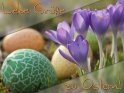 Liebe Gre zu Ostern! 
 
Dieses Kartenmotiv ist seit dem 24. Mrz 2010 in der Kategorie Osterkarten.