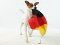 Ein Hund trägt einen Hut in den farben der Deutschlandflagge in der Schnauze.