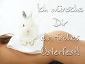 Ich wnsche Dir ein frohes Osterfest! 
 
Dieses Kartenmotiv wurde am 24. Mrz 2010 neu in die Kategorie Sexy Osterkarten aufgenommen.