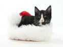 Katze liegt auf einer Weihnachtsmütze