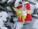 Geschenkpaket an einem schneebedeckten Tannenbaum 
 
Dieses Kartenmotiv wurde am 23. Dezember 2010 neu in die Kategorie Weihnachtsbilder aufgenommen.