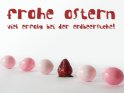 Frohe Ostern 
Viel Erfolg bei der Erdbeersuche! 
 
Dieses Kartenmotiv wurde am 23. Mrz 2012 neu in die Kategorie Lustige Osterkarten aufgenommen.