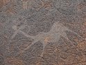 der Tanzende Kudu 
 
Dieses Kartenmotiv wurde am 31. August 2012 neu in die Kategorie Twyfelfontein in Namibia aufgenommen.