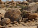 Dieses Motiv finden Sie seit dem 31. Juli 2014 in der Kategorie Erongogebirge in Namibia.