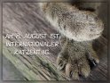Am 8. August ist internationaler Katzentag. 
 
Dieses Motiv wurde am 08. August 2019 in die Kategorie Internationaler Katzentag (8.8.) eingefgt.