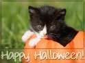 Happy Halloween! 
 
Dieses Kartenmotiv ist seit dem 30. Oktober 2012 in der Kategorie Halloweenkarten.