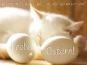 Weckt mich, wenn die Eier alle gefunden sind! 
Frohe Ostern 
 
Dieses Motiv wurde am 27. Mrz 2013 in die Kategorie Tierische Osterkarten eingefgt.