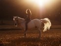 Reiterin sitzt bei Sonnenuntergang auf einem weißen Pony.