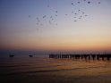 Sonnenaufgang mit fliegenden Vögeln über dem Malawisee