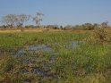 Dieses Motiv finden Sie seit dem 26. September 2016 in der Kategorie Okavango Delta in Botswana.