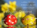 Liebes Wetter, erkennst du den Unterschied? 
Frohe Ostern! 
 
Dieses Motiv befindet sich seit dem 27. Mrz 2013 in der Kategorie Lustige Osterkarten.