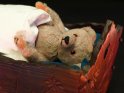 Antiker Teddybär liegt in einem Holzbett