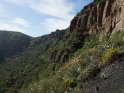 Dieses Kartenmotiv wurde am 31. Juli 2016 neu in die Kategorie In den Bergen von Gran Canaria aufgenommen.