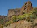 Dieses Kartenmotiv wurde am 28. Februar 2016 neu in die Kategorie In den Bergen von Gran Canaria aufgenommen.