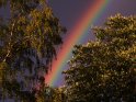 Regenbogen zwischen zwei Baumkronen