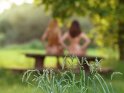 Aktfoto von zwei Frauen, die im Hintergrund des Bildes nackt auf einer Bank sitzen und die untergehende Sonne genießen.