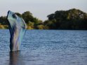 Eine Frau steht im Bikini in einem See und hält dabei ein blaugrün schimmerndes Seidentuch, das Dank des Windes ihren Körper umschließt, in die Luft.