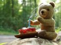 Teddybär mit einem Stück Erdbeerkuchen in dem eine gerade ausgepustete Kerze steckt
