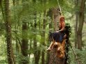 Frau sitzt auf einem Baumstamm im Wald.