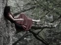 Eine Frau im Abendkleid hat es sich auf einem Baum bequem gemacht.