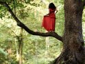 Eine Frau mit schwarzen Haaren steht im roten Abendkleid auf dem weit ausladenden Ast eines Baumes.