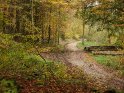Herbstlicher Waldweg 
 
Dieses Motiv wurde am 29. Oktober 2014 in die Kategorie Herbstlandschaften eingefgt.