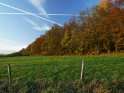 Herbstlicher Wald mit davor liegender strahlend grner Wiese 
 
Dieses Motiv befindet sich seit dem 05. November 2014 in der Kategorie Herbstlandschaften.
