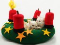 Kuschel-Adventskranz mit zwei darin kuschelnden niedlichen Kätzchen und einer ´brennenden´ Kerze zum 1. Advent