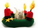 Eine niedliche kleine Katze steht mitten im Adventskranz und schaut zum 4. Advent zu einer der vier brennenden Kerzen hinauf.