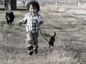 Junge geht mit zwei Hunden gassi.
