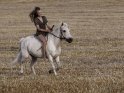 Reiterin auf einem weißen Pony