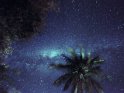 Dieses Foto zeigt die Milchstraße mit einer Palme im Vordergrund. Es wurde im südlichen Afrika am Malawisee aufgenommen.