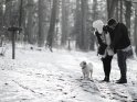 Paar geht mit einem Hund im verschneiten Wald spazieren.