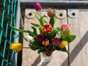 Tulpen-Blumenstrauß auf einem Baugerüst