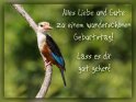 Alles Liebe und Gute zu einem wunderschnen Geburtstag! 
Lass es dir gut gehen! 
 
Dieses Kartenmotiv wurde am 30. August 2017 neu in die Kategorie Geburtstagskarten fr Vogelfreunde aufgenommen.