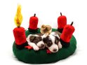 Welpen liegen mit einem Küken in einem Kuschel-Adventskranz mit einer brennenden Kerze zum 1. Advent