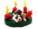 Welpen liegen mit einem Küken in einem Kuschel-Adventskranz mit einer brennenden Kerze zum 3. Advent